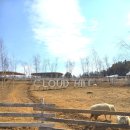 둥이목장 이미지