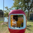 광이농장 이미지