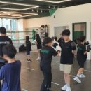 판교더복싱 이미지