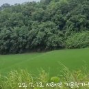 모람식물원 Daum카페