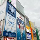 낭만 호소인