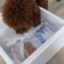 봉구네 수제육포 이미지