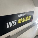 WS복싱클럽(연희점) | [연희동 복싱] 연희동에도 복싱장이 ?!?! || ws복싱클럽 연희점 (정통복싱, 다이어트복싱, 1대1트레이닝)