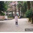 다원농산 - 도봉구 도봉로169나길 81 | 다원농산