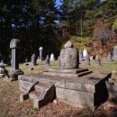 월정사 부도군 이미지