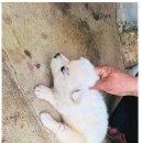 주생면 반송마을 이미지