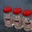 교육 여행 취업에 불편함을 주어 백신 강제하자는 파우치 이미지