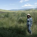 호수주유소 이미지