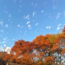 김해민속박물관 | 국가유산방문코스 방문자여권 스탬프찍기- 김해 김수로왕릉 방문후기/ 김해민속박물관