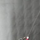 거창하개 이미지