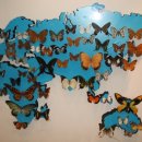 나비생태공원 이미지