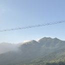 라임벨리 이미지