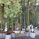 뱀부포레스트(BAMBOO Forest) 이미지
