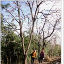 대소마을 이미지