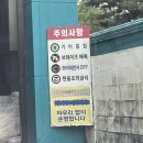 호정디엔이 이미지