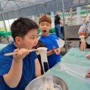 강호태권도 이미지