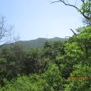 보련산 농장 이미지