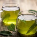 보성선운제다 이미지