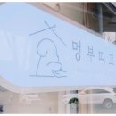 부띠끄멍 | 일산애견미용 멍부띠끄에서 반려견 미용 받고 온 후기