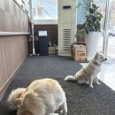 사랑종합자동차공업사 이미지