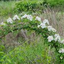 별빛 펜션 이미지