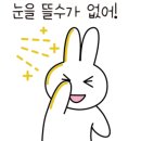 이룸여성의원 이미지