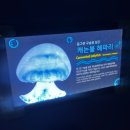 월드피쉬수족관 | 잠실 실내 놀거리 롯데월드 아쿠아리움 (백년만의 수족관) 코스, 후기