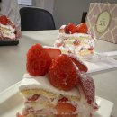 11650-17-205-1 | 맛집 | 키친205 딸기케이크 후기(박명수 딸기 케이크...2년 연속 1위 키친205 딸기밭케이크 가격, 예약...