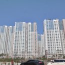 동산동-22 이미지