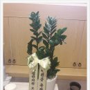 단침한의원 네이버블로그