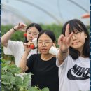 즐거운 태권도 아카데미 이미지