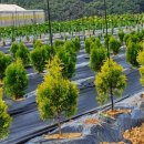 유계리 농장 이미지