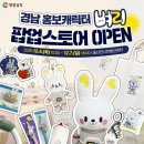 벼리다