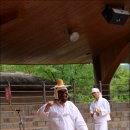 사미/새미 이미지