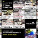 해피애견 이미지