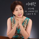 이애란 - 모진세월 & 어느 아버지의 인생 & 소금에 핀 꽃 이미지