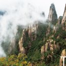 신선만나 이미지