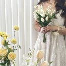 더 스테이 이미지