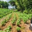 석문농장 이미지