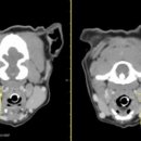 로얄동물암치료센터 이미지