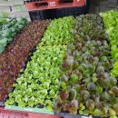 동천안농협 경제통합지원센터 이미지