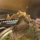 사가정로51길 (7) | &lt;사가정 맛집&gt; 미나리 무제한 공짜 &#34;미나리산장 사가정역점&#34; 뼈한방백숙 솔직 후기