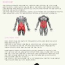 메디코어컨설팅