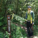 넓고 청정한 바다 조망 산행. 봉황산(鳳凰山 460m).금오산(金鰲山321m).향일암(向日庵)/전남 여수 이미지