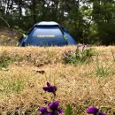 아지청소년야영장 이미지