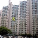 정자천로 Daum카페