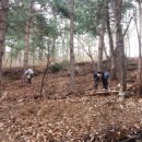 풍월농장 네이버블로그