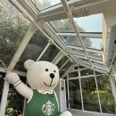 임랑해수욕장3 | 기장 임랑해수욕장 스타벅스 솔직후기, 이용꿀팁