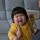 누렁이 농장 | 성장 기록 : D+200 7개월 강철이의 일상