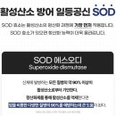 리쏘드 닥터에스오디 영양제추천 글로벌KEJ